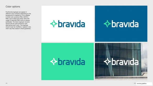 Bravida logo color options