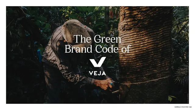 The Green Brand Code of VEJA divider, editorial, photographic, dark