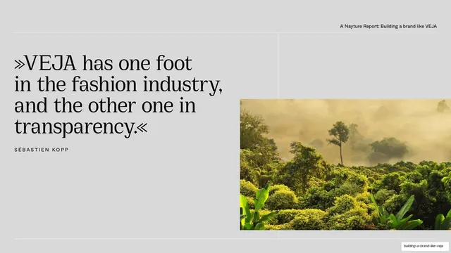 VEJA dual focus pull quote, editorial, minimal, light