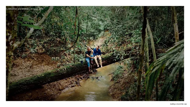 Founders in the Amazon full-bleed photo