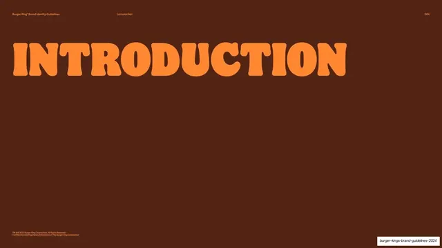 Introduction section divider