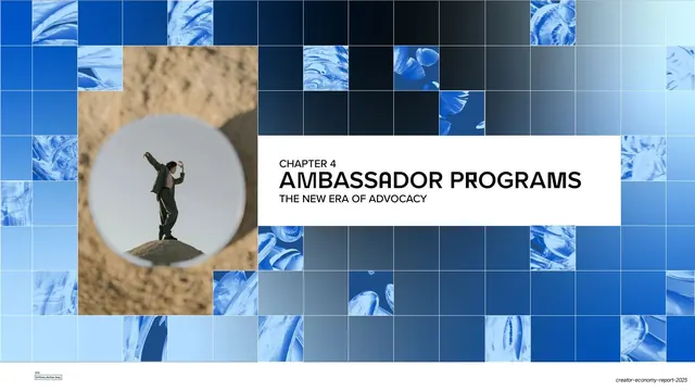 Chapter 4 Ambassador Programs divider