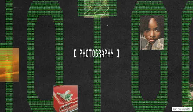Photography section divider with code-rain