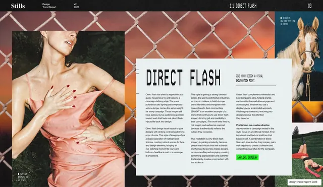 Direct Flash trend write-up, editorial, photographic, dark
