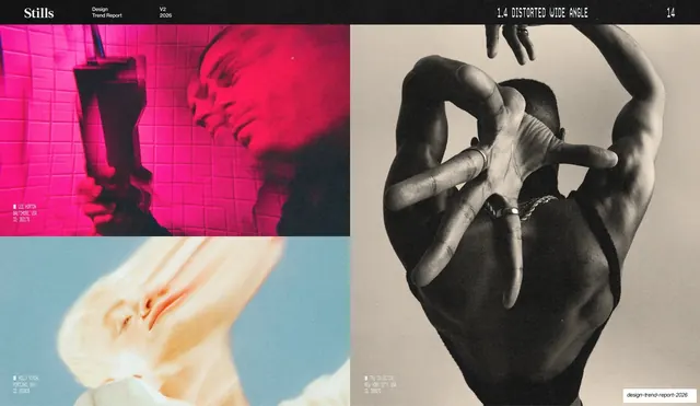Distorted Wide Angle imagery grid