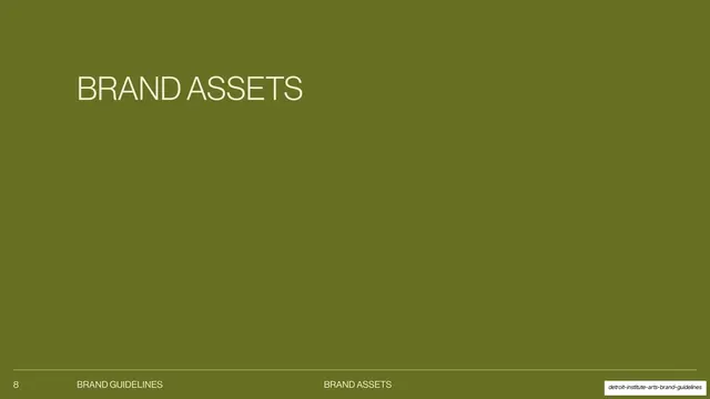 Brand Assets section divider
