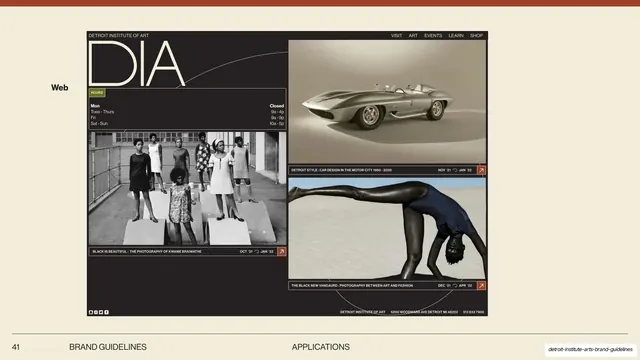 DIA website application