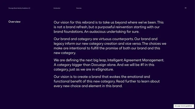 Introduction vision copy