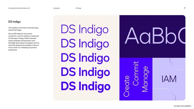 DS Indigo brand typeface