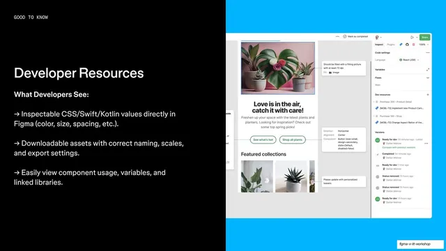 Developer Resources Dev Mode feature