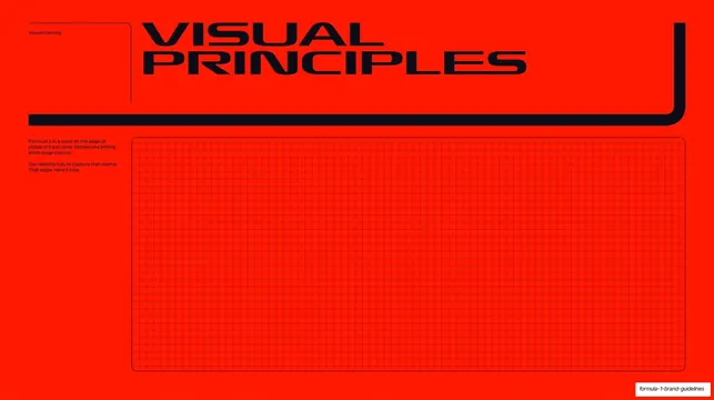 Visual Principles section divider