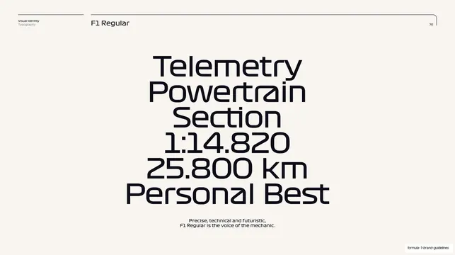 F1 Regular weight - voice of the mechanic