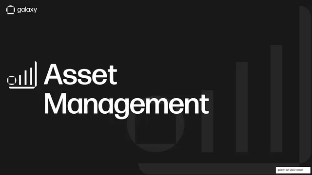 Asset Management divider, dark-mode, minimal, dark