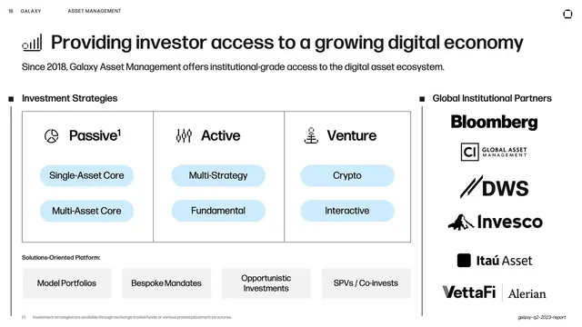 Investor access strategies, data-dense, minimal, light