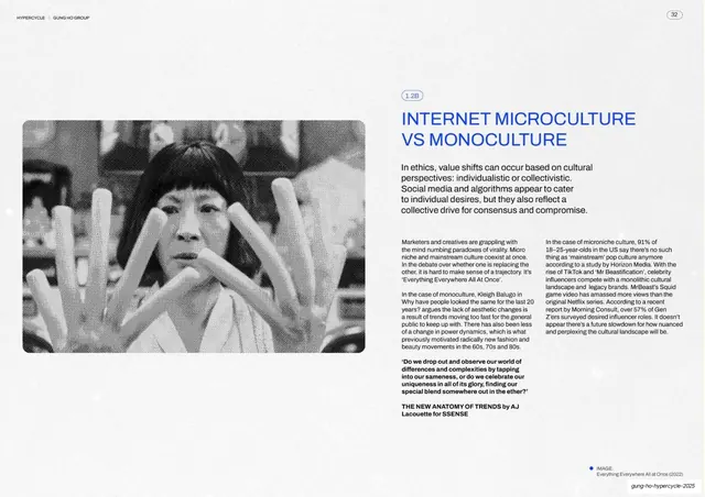 Internet microculture vs monoculture