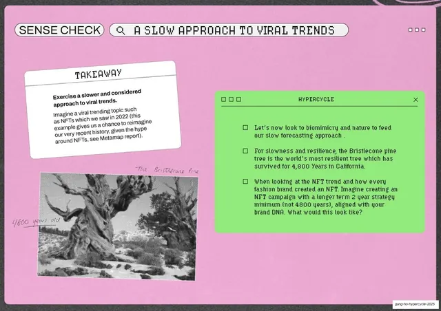 Sense Check slow approach to viral trends