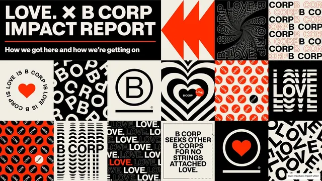 B Corp impact report cover contact sheet