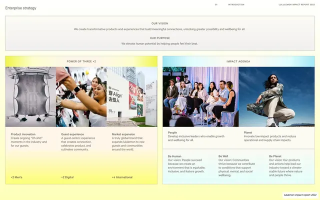 Vision, purpose and twin strategy framework
