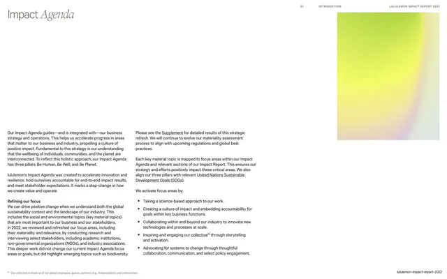 Impact Agenda explainer with gradient block