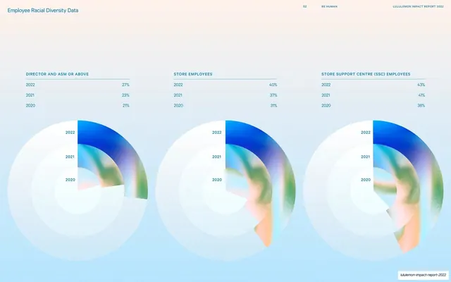 Employee racial diversity data radial charts