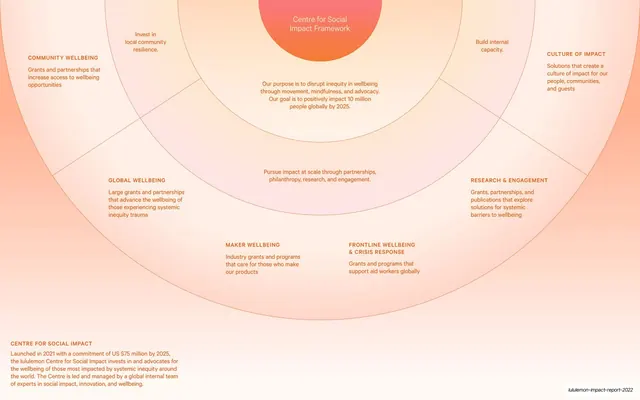 Centre for Social Impact concentric framework diagram