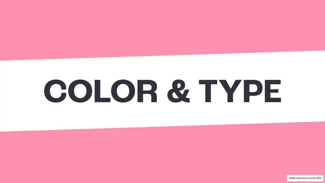 COLOR & TYPE section divider