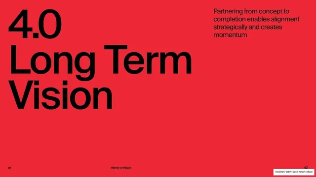 Section 4.0 Long Term Vision divider, minimal, swiss, vibrant