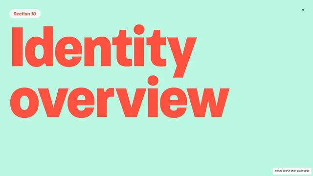 Monzo identity overview section divider