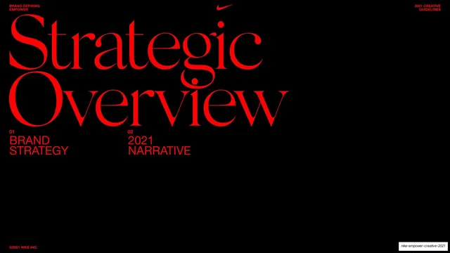 Strategic Overview section divider
