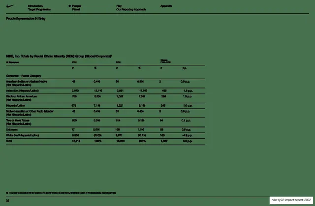 NIKE totals by racial ethnic minority group data table