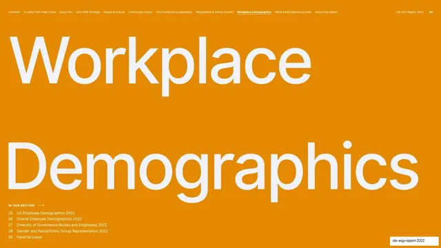 Workplace Demographics section divider, minimal, editorial, vibrant