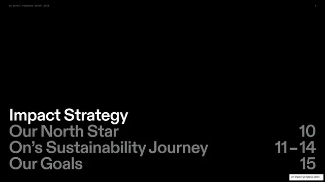 Impact Strategy section divider
