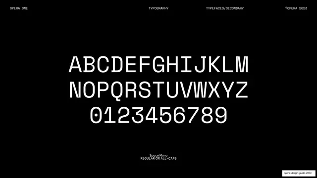 Secondary specimen Space Mono