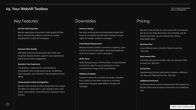 Banuba features, downsides, pricing