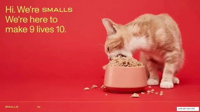 Make 9 lives 10 brand intro with cat photo