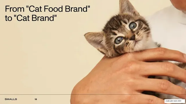 Cat Food Brand to Cat Brand vision with kitten photo, editorial, minimal, light