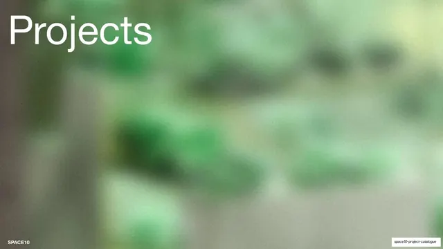 Projects section divider