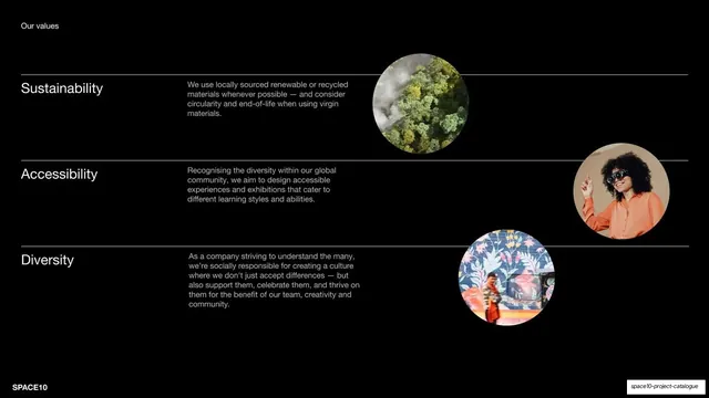 Our values (Sustainability, Accessibility, Diversity)