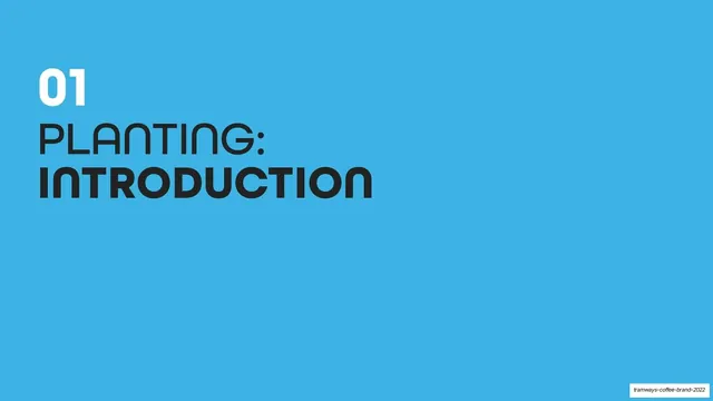 Section 01 Planting Introduction divider