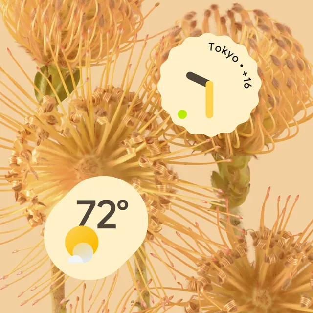 Material You widgets on protea flowers, organic, minimal, warm