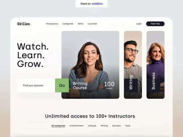 Skillex Website - Webflow Concept, minimal, photographic, light
