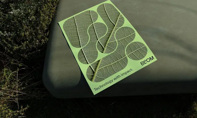 BECOM leaf-pattern branding mockup, minimal, organic, light