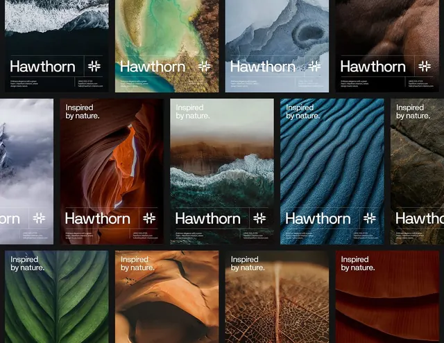 Hawthorn brand photography grid, organic, minimal, dark
