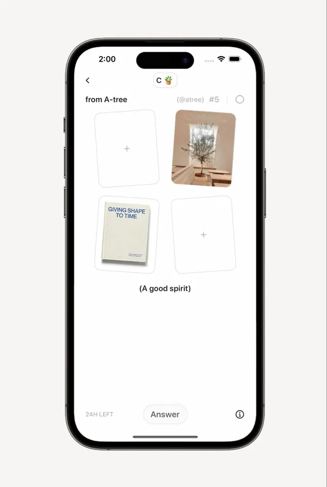 Social mood board with card grid and timer, minimal, light