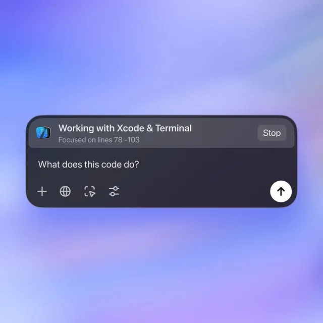 Xcode developer assistant modal UI, minimal, light