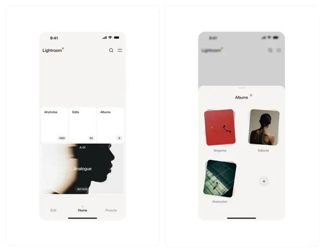 Lightroom-style photo browser with album grid, minimal, flat, light