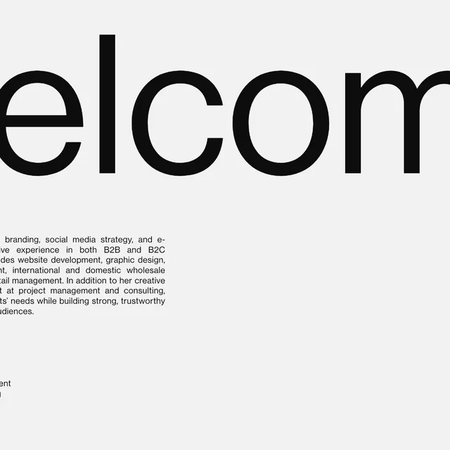Minimal corporate-clean identity system, minimal, corporate-clean, dark