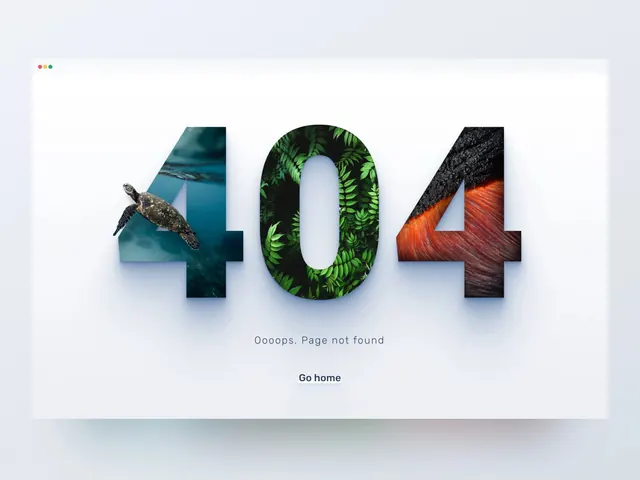 404 page with photographic number fills, minimal, photographic, light
