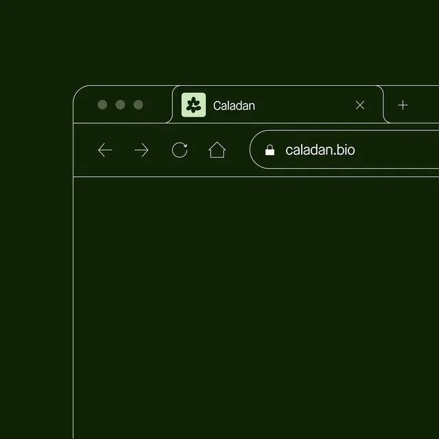Dark-mode minimal ui screen, dark-mode, minimal, dark