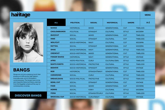 Hairitage digital archive interface carousel (slide 2)